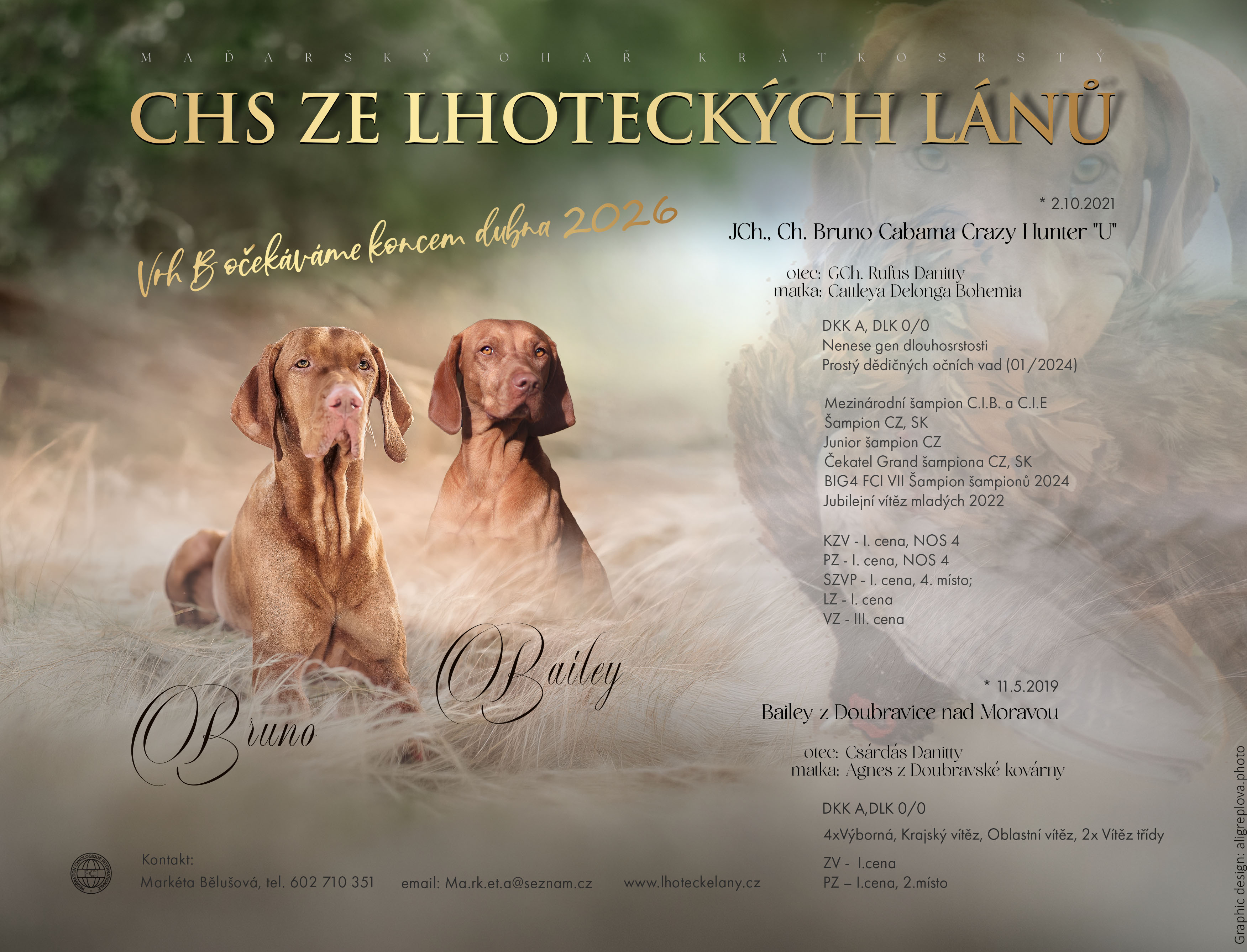 Vrh B – foto 1